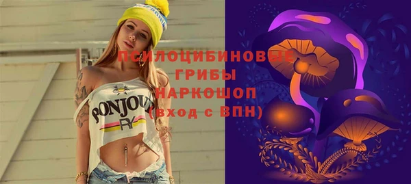 шишки Алексеевка