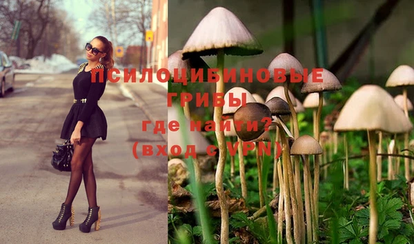 шишки Алзамай