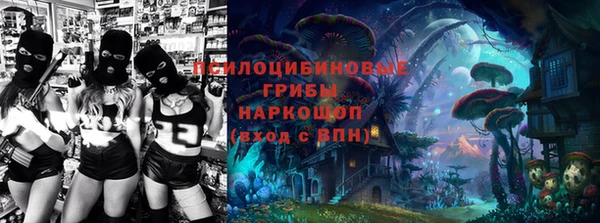 шишки Алексеевка